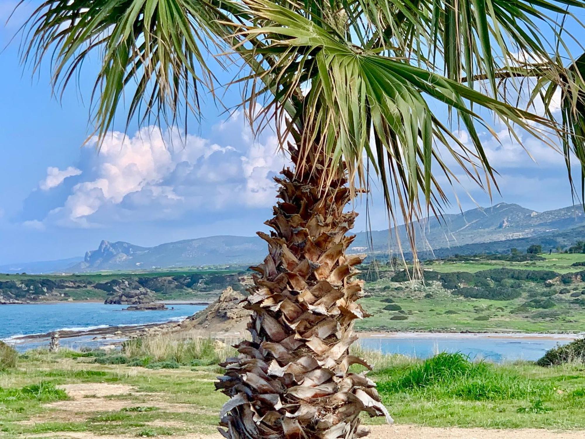Boho Bay Apartment Akanthou エクステリア 写真