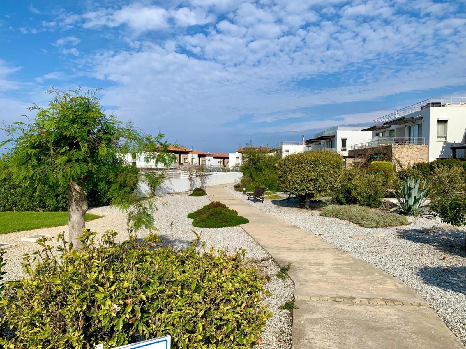Boho Bay Apartment Akanthou エクステリア 写真
