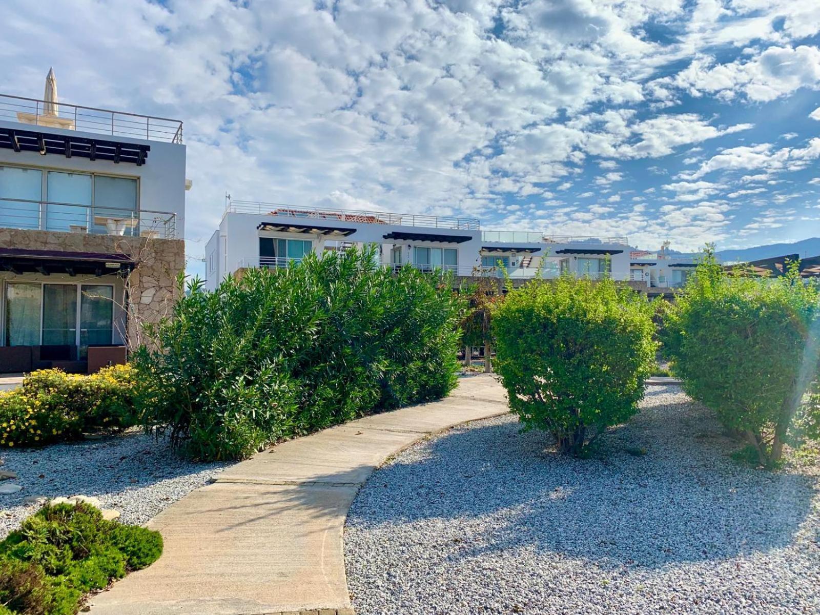 Boho Bay Apartment Akanthou エクステリア 写真