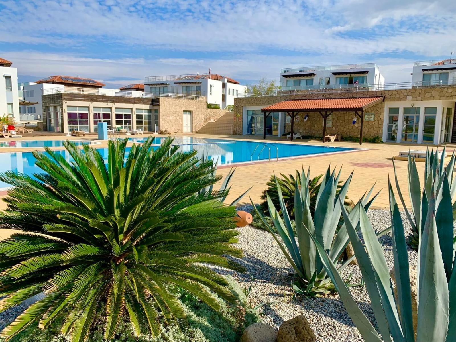 Boho Bay Apartment Akanthou エクステリア 写真