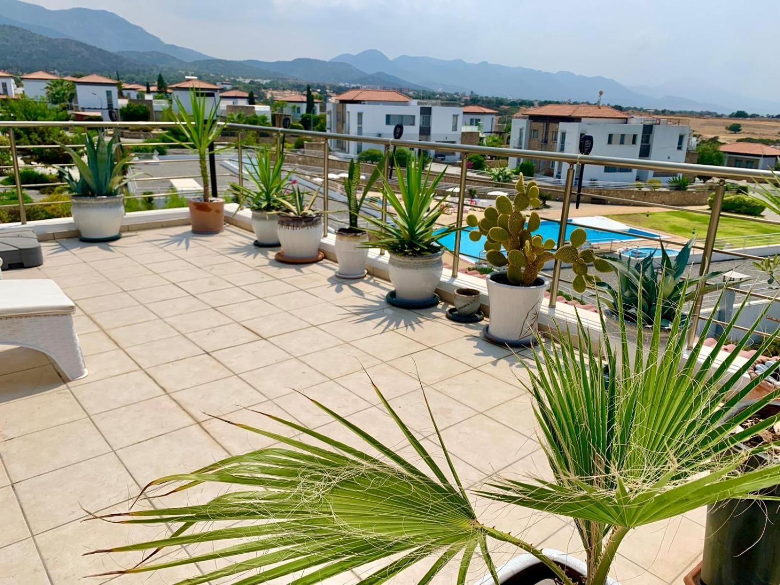 Boho Bay Apartment Akanthou エクステリア 写真